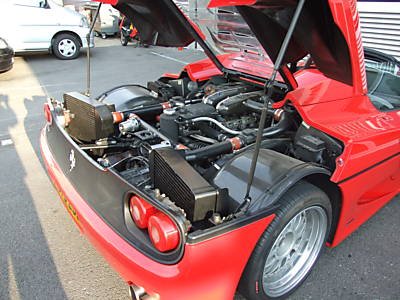 f16f_19.jpg
